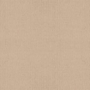 Shaw Floors Carpet Solstice Cornflower 00212_ZZ264
