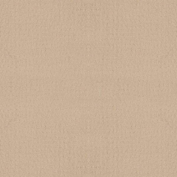 Shaw Floors Carpet Solstice Cornflower 00212_ZZ264
