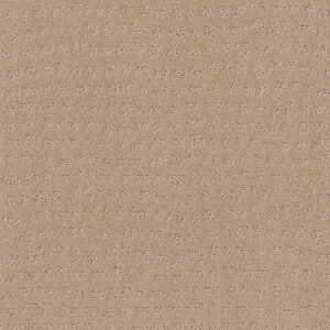 Shaw Floors Carpet Solstice Magic 00214_ZZ264