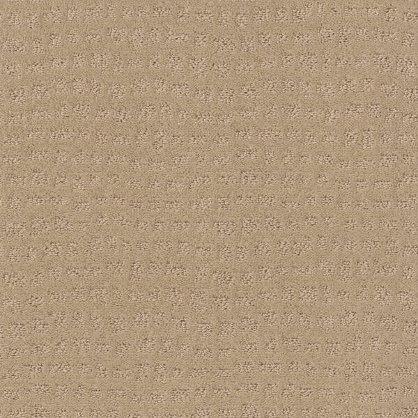 Shaw Floors Carpet Solstice Magic 00214_ZZ264