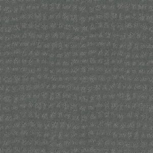 Shaw Floors Carpet Solstice Tidal 00446_ZZ264