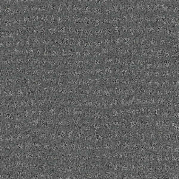 Shaw Floors Carpet Solstice Tidal 00446_ZZ264