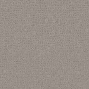 Shaw Floors Carpet Solstice Ash Mist 00511_ZZ264
