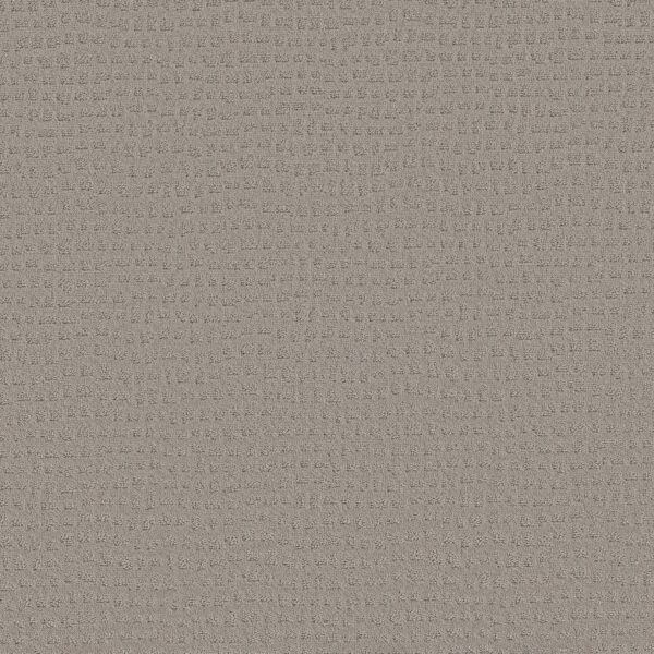 Shaw Floors Carpet Solstice Ash Mist 00511_ZZ264