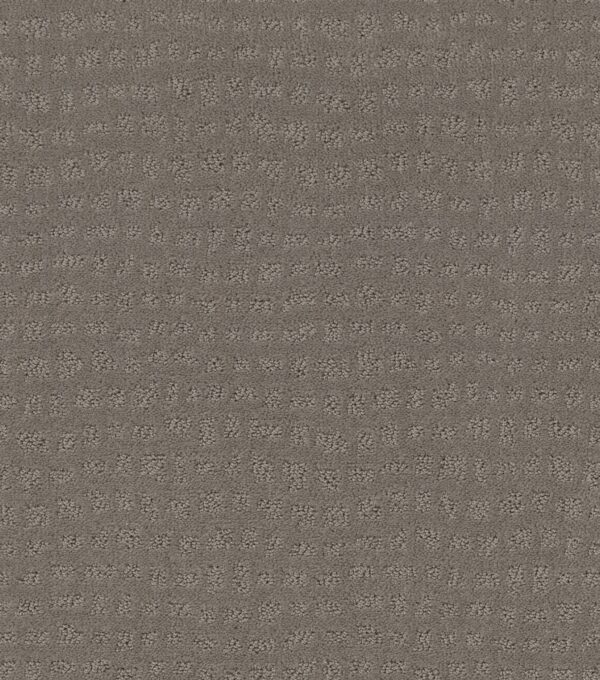 Shaw Floors Carpet Solstice Still Gray 00515_ZZ264