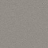 Shaw Floors Carpet Solstice Silver Fox 00541_ZZ264