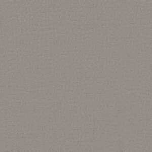 Shaw Floors Carpet Solstice Silver Fox 00541_ZZ264