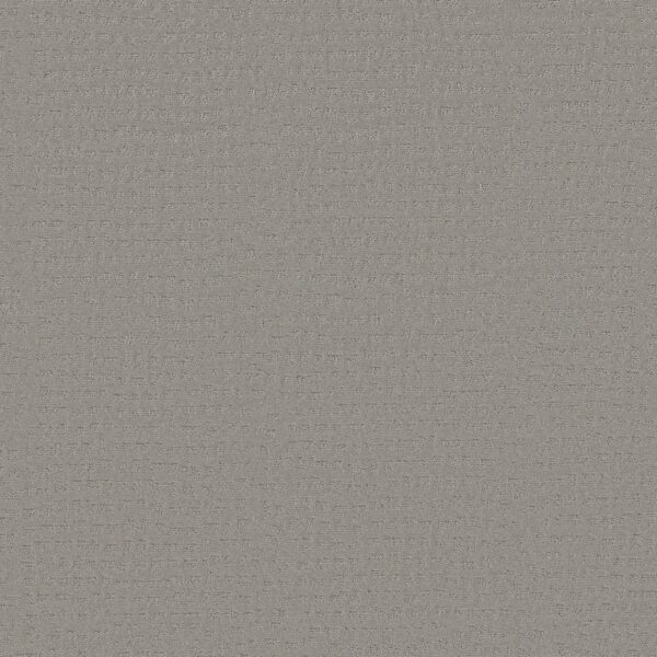 Shaw Floors Carpet Solstice Silver Fox 00541_ZZ264