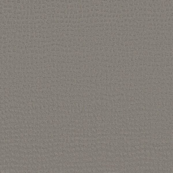 Shaw Floors Carpet Solstice Pebble Beach 00545_ZZ264