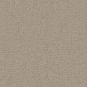 Shaw Floors Carpet Solstice Bit Of Gray 00552_ZZ264