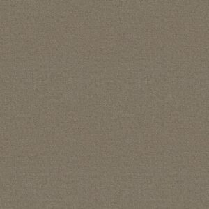 Shaw Floors Carpet Solstice Koala 00553_ZZ264