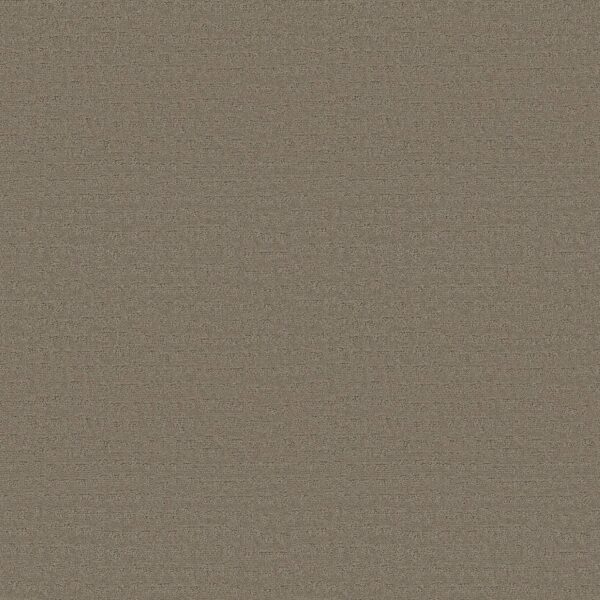 Shaw Floors Carpet Solstice Koala 00553_ZZ264