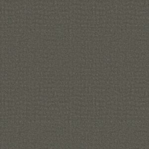 Shaw Floors Carpet Solstice Pewter 00558_ZZ264