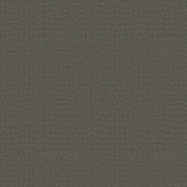 Shaw Floors Carpet Solstice Pewter 00558_ZZ264