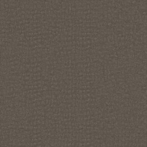 Shaw Floors Carpet Solstice Potting Soil 00573_ZZ264