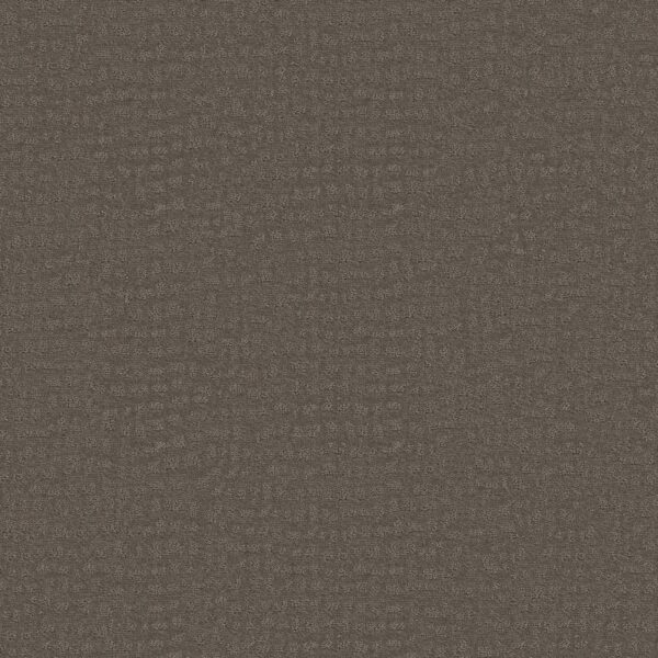 Shaw Floors Carpet Solstice Potting Soil 00573_ZZ264