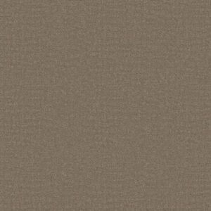 Shaw Floors Carpet Solstice Riverbank 00575_ZZ264