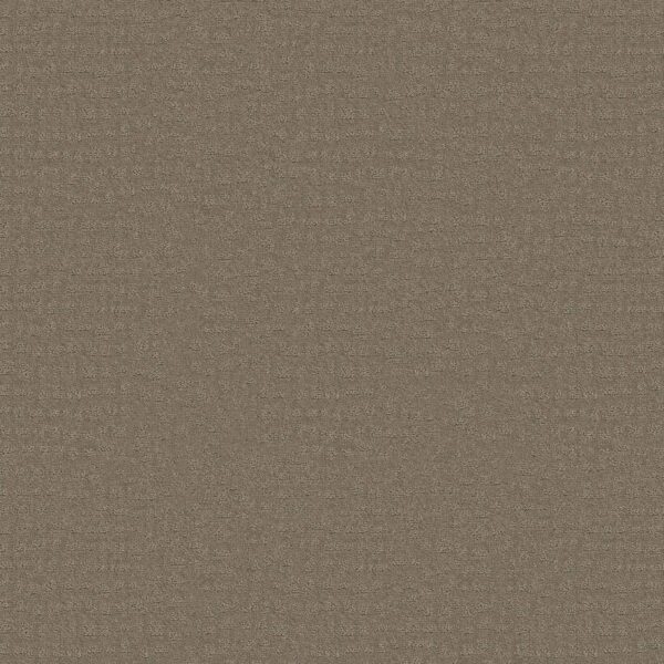 Shaw Floors Carpet Solstice Riverbank 00575_ZZ264