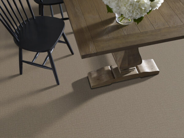 Shaw Floors Carpet Solstice Riverbank 00575_ZZ264 - Image 2