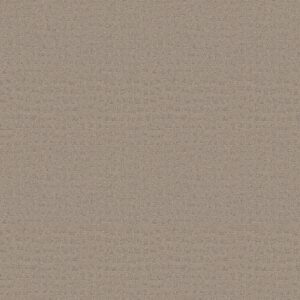 Shaw Floors Carpet Solstice Barista 00752_ZZ264