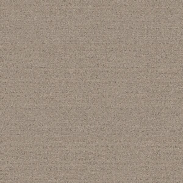 Shaw Floors Carpet Solstice Barista 00752_ZZ264