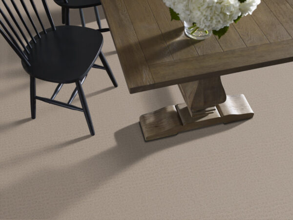 Shaw Floors Carpet Solstice Barista 00752_ZZ264 - Image 2