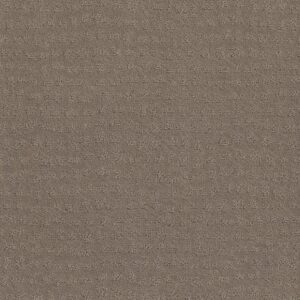 Shaw Floors Carpet Solstice Shitake 00754_ZZ264