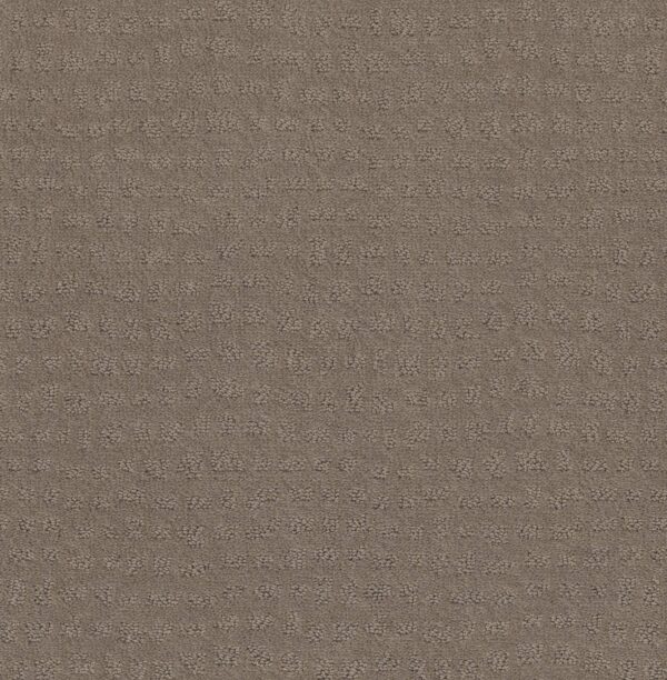 Shaw Floors Carpet Solstice Shitake 00754_ZZ264