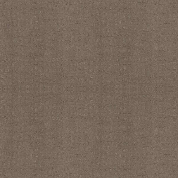 Shaw Floors Carpet Solstice Smokestack 00756_ZZ264