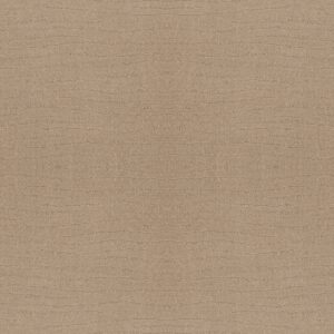 Shaw Floors Carpet Capistrano Terrazo 00114_ZZ266