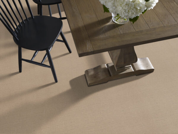 Shaw Floors Carpet Capistrano Terrazo 00114_ZZ266 - Image 2