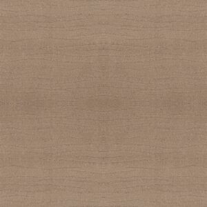 Shaw Floors Carpet Capistrano Beach Grass 00117_ZZ266