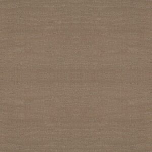 Shaw Floors Carpet Capistrano Sierra Hills 00174_ZZ266