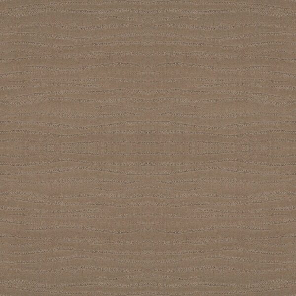 Shaw Floors Carpet Capistrano Sierra Hills 00174_ZZ266
