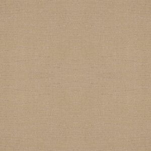 Shaw Floors Carpet Capistrano Magic 00214_ZZ266