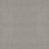Shaw Floors Carpet Capistrano Silver Fox 00541_ZZ266