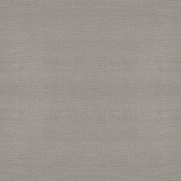 Shaw Floors Carpet Capistrano Silver Fox 00541_ZZ266