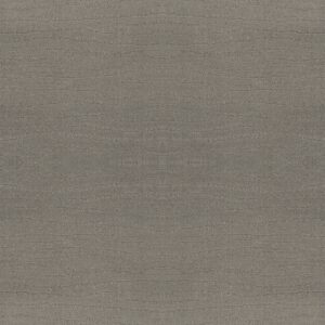 Shaw Floors Carpet Capistrano Pebble Beach 00545_ZZ266