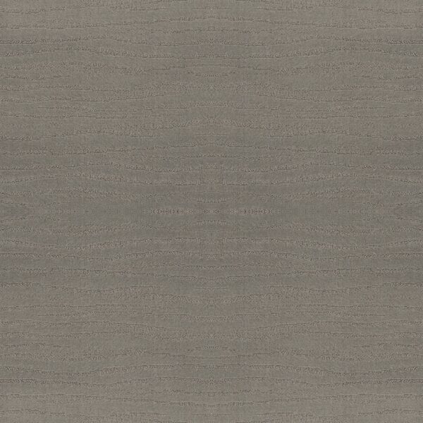 Shaw Floors Carpet Capistrano Pebble Beach 00545_ZZ266