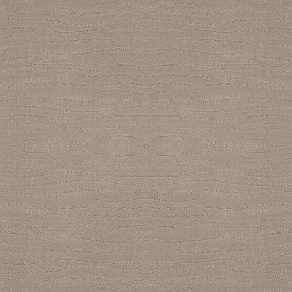 Shaw Floors Carpet Capistrano Bit Of Gray 00552_ZZ266