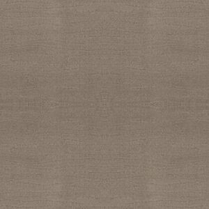 Shaw Floors Carpet Capistrano Koala 00553_ZZ266