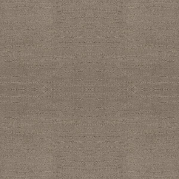 Shaw Floors Carpet Capistrano Koala 00553_ZZ266
