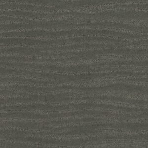 Shaw Floors Carpet Capistrano Pewter 00558_ZZ266