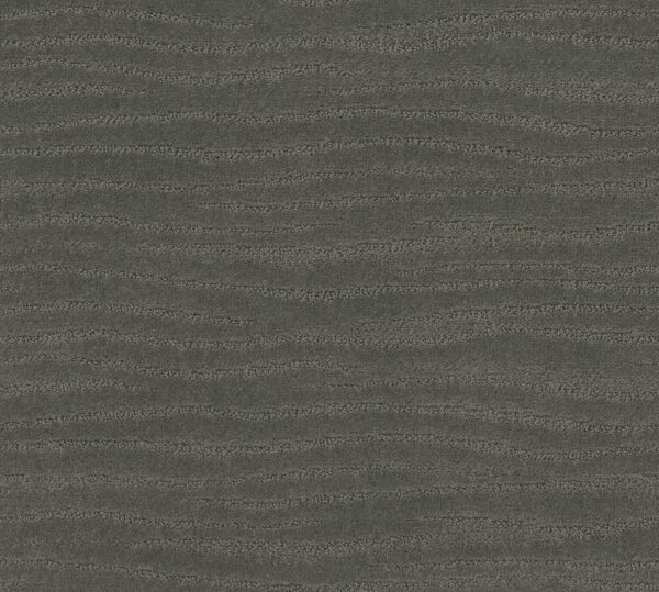 Shaw Floors Carpet Capistrano Pewter 00558_ZZ266