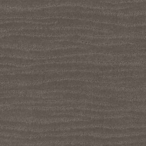 Shaw Floors Carpet Capistrano Potting Soil 00573_ZZ266