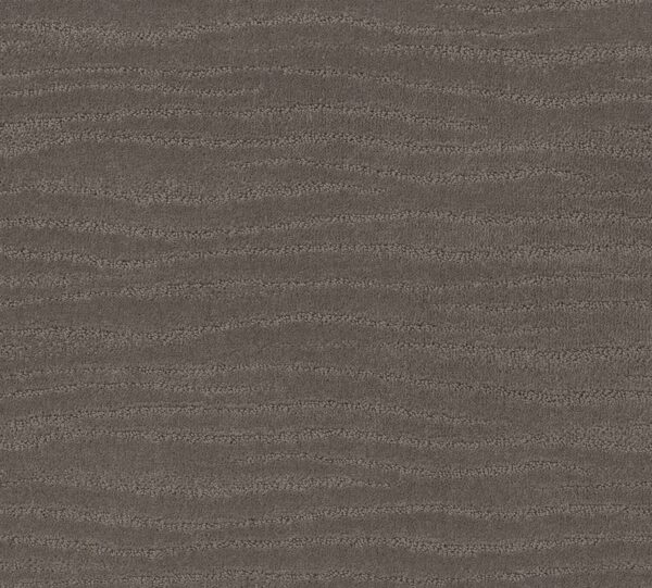 Shaw Floors Carpet Capistrano Potting Soil 00573_ZZ266