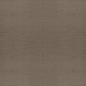 Shaw Floors Carpet Capistrano Riverbank 00575_ZZ266