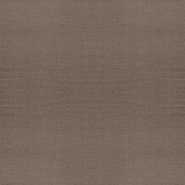 Shaw Floors Carpet Capistrano Riverbank 00575_ZZ266