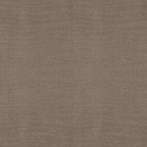 Shaw Floors Carpet Capistrano Shitake 00754_ZZ266