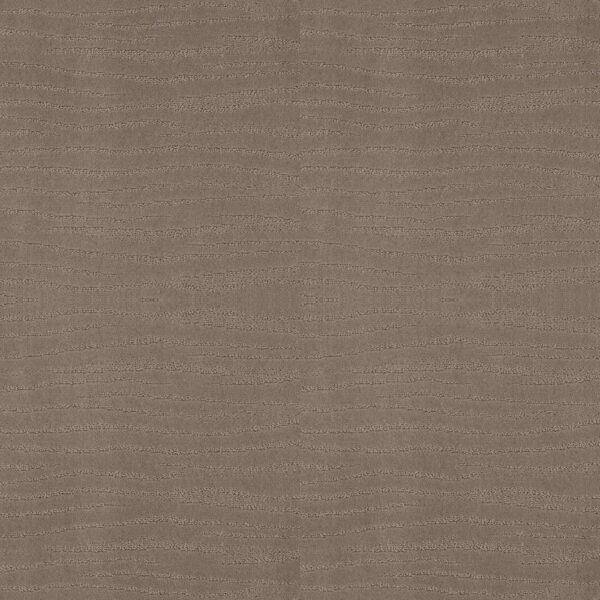 Shaw Floors Carpet Capistrano Shitake 00754_ZZ266